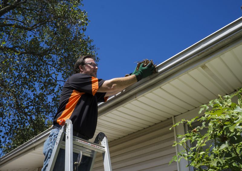 Climbing a Ladder for Gutter Access