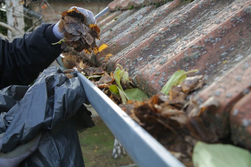 Gutter Cleaning Experts
